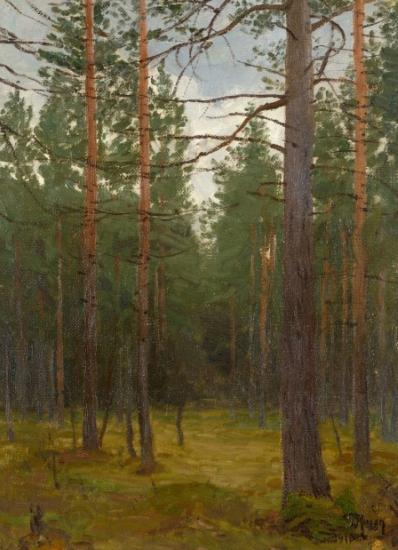 unknow artist Pine forest oil painting picture